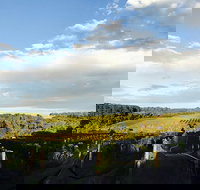 Rare Hare at Willow Creek Vineyard - Accommodation 4U