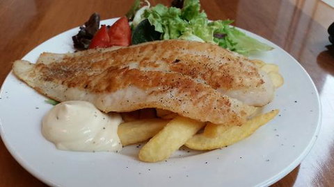 Baby Barramundi - Accommodation 4U 0