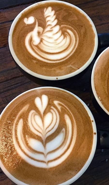 Cafe In Tokyo - Accommodation 4U 4