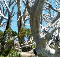 Alpine Eyre - Accommodation 4U