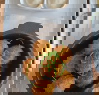 No. 7 - Accommodation 4U