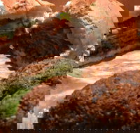 Familiar Takeaway - Accommodation 4U