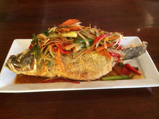 Widden NSW Accommodation 4U