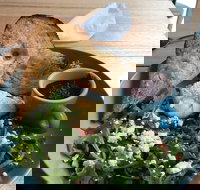 Caffe Cherry Beans Canberra Centre - Accommodation 4U