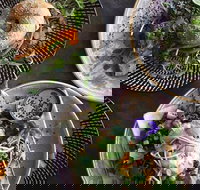 Niche  Co. - Accommodation 4U