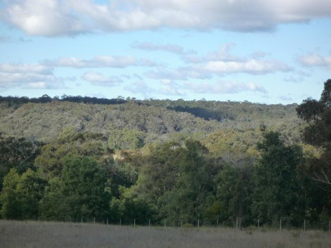 U Saucey Thing - Accommodation 4U 0