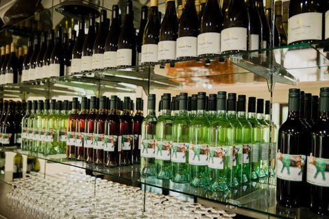 Constable Estate Vineyard - Accommodation 4U 2