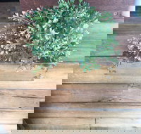 Double Mac - Accommodation 4U