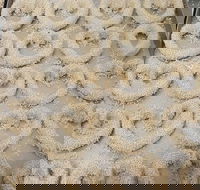 Fairfield Bakery - Accommodation 4U