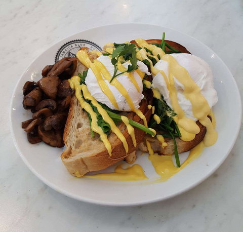 Jamaica Blue - Rockingham - Accommodation 4U 0