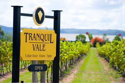 Tranquil Vale Vineyard - Accommodation 4U 0