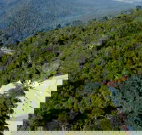 Canopy Cafe - Accommodation 4U