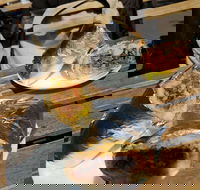 Perso - Accommodation 4U