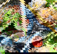 Little Peddler - Accommodation 4U