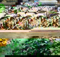 Salud Expresso Bar - Accommodation 4U