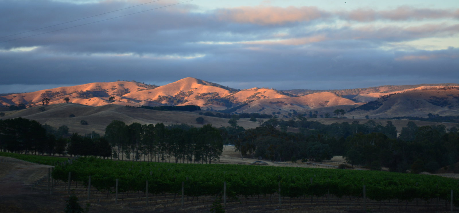 Homewood VIC Accommodation 4U