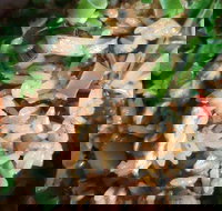 Siam Kingdom - Accommodation 4U