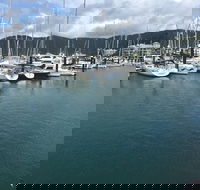 Whitsunday Sailing Club - Accommodation 4U
