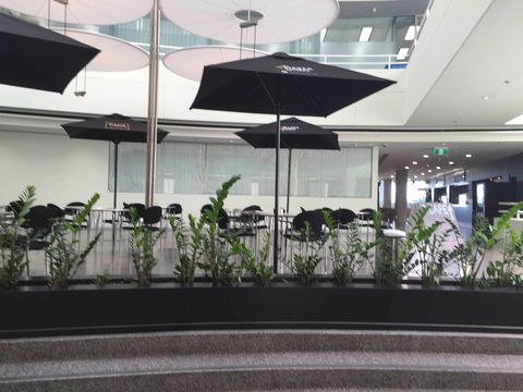 D Cafe - Accommodation 4U 0