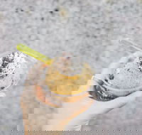 Spice Cottage - Accommodation 4U