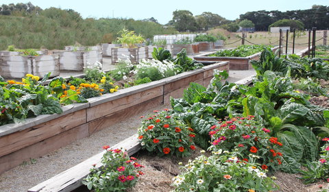 The Farmer's Place - Accommodation 4U 0