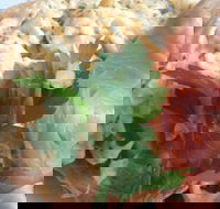 Parkwood Fish  Chips - Accommodation 4U