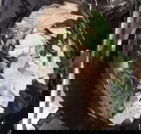 Seoul Buffet Korean BBQ  Steamboat - Victoria Park - Accommodation 4U