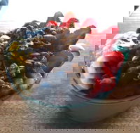 Green Remedy - Accommodation 4U