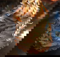 Mocha Bella - Accommodation 4U