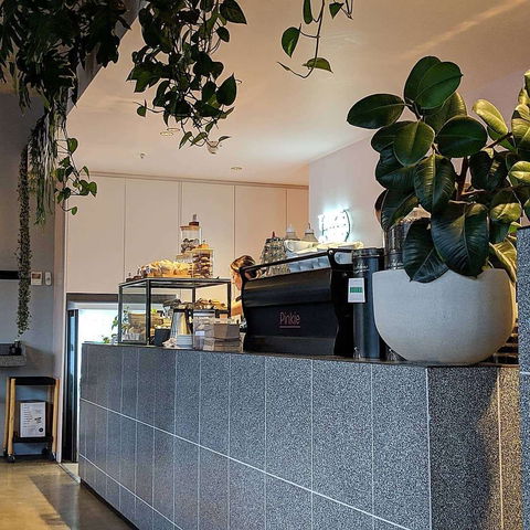 Pinkie - Accommodation 4U 0