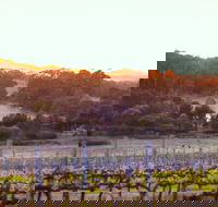 Howling Wolves Wines - Accommodation 4U
