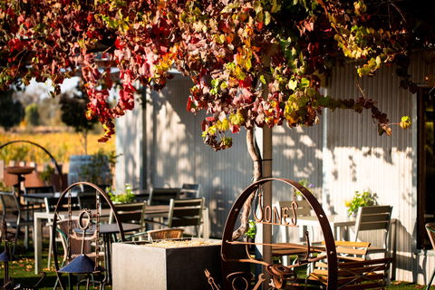Jones Winery & Vineyard - Accommodation 4U 0