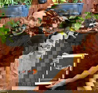 Masala Fusion - Accommodation 4U