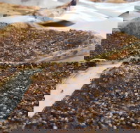 Yum Yum Bakery - Accommodation 4U