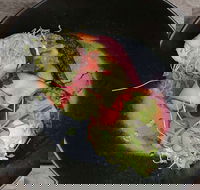 Crowded House - Accommodation 4U