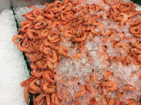 Pearly Oyster Bar And Farm - Accommodation 4U 1