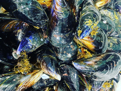 Pearly Oyster Bar And Farm - Accommodation 4U 2