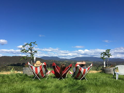 Red Feet Wines - Accommodation 4U 0