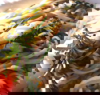 Merimbula Wharf - Accommodation 4U