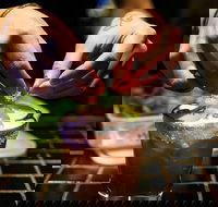 Mr Beebes - Accommodation 4U