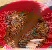 Noodle World - Accommodation 4U