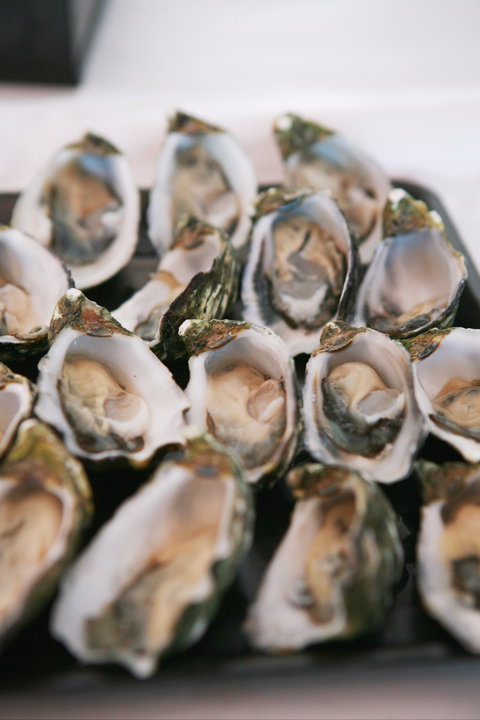 S.D. Caputo And Sons - Accommodation 4U 0