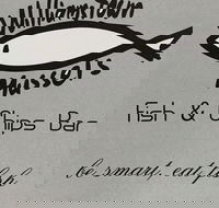 Williamstown Mussels - Accommodation 4U