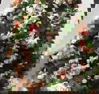 Blend 66 - Accommodation 4U