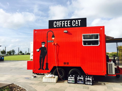 Coffee Cat - Accommodation 4U 0