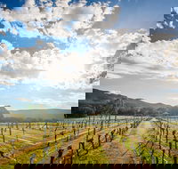 Fallen Giants Vineyard - Accommodation 4U