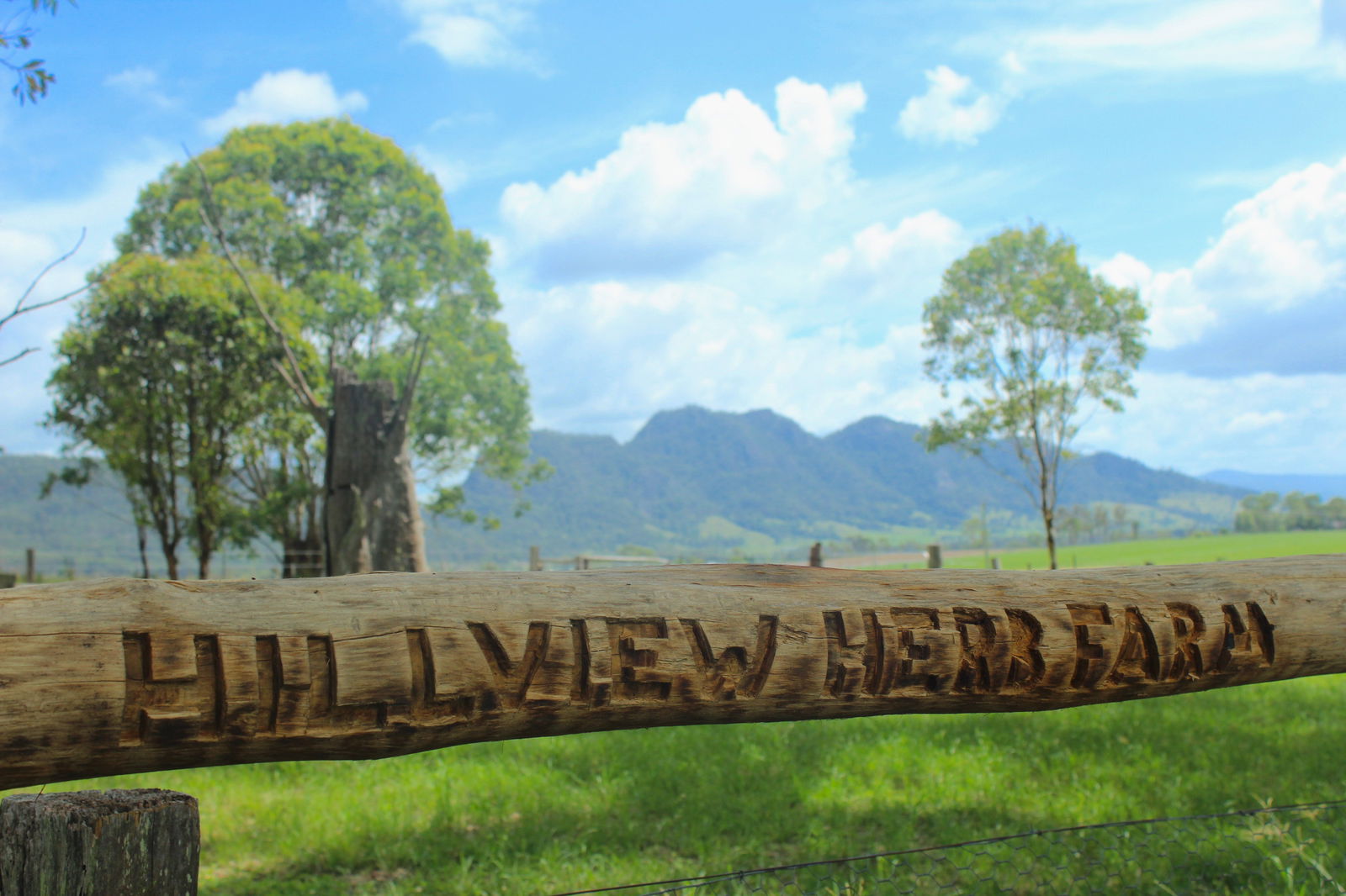 Forbesdale NSW Accommodation 4U