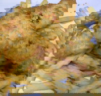 Red Rooster - Malaga - Accommodation 4U