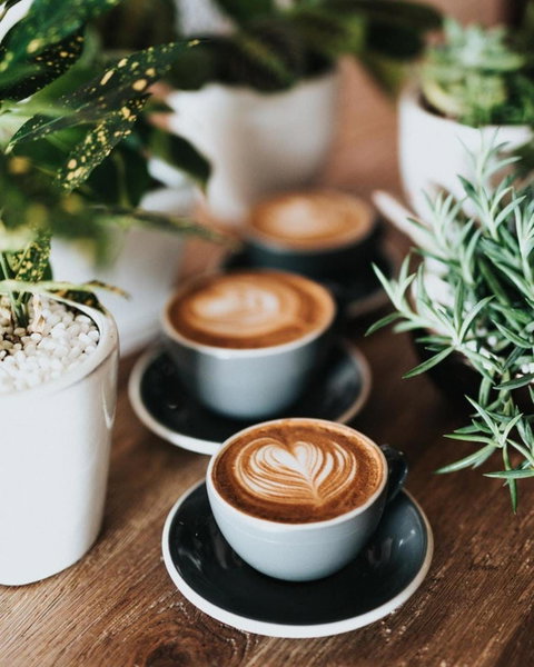 Zoobibi - Accommodation 4U 0