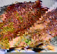 Silver Moon - Accommodation 4U